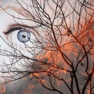 Meet your Posher, Miranda